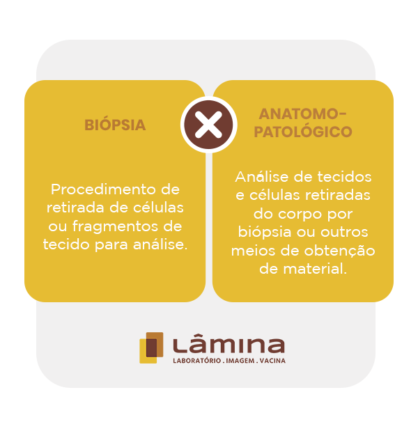 Biópsia o que é e como funciona e tipos do exame Lâmina Biópsia o que é e como funciona e tipos do exame Lâmina